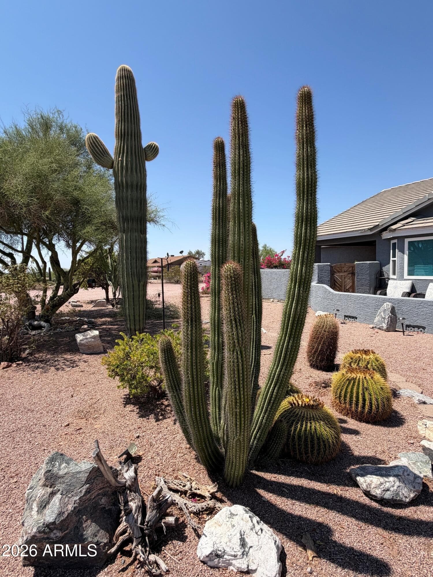 1534 N Acacia Road, Apache Junction, AZ 85119 — photo 62 of 67