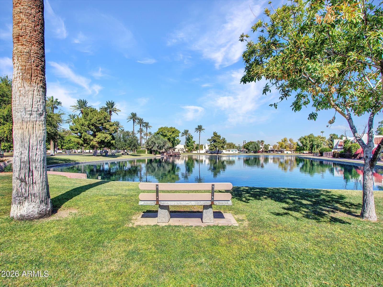 297 S Hacienda Circle, Litchfield Park, AZ 85340 — photo 83 of 113