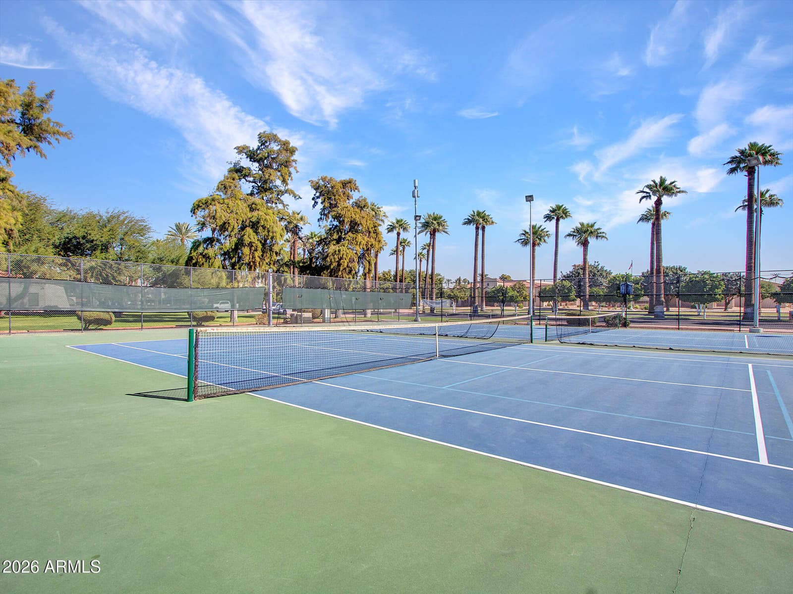 297 S Hacienda Circle, Litchfield Park, AZ 85340 — photo 91 of 113