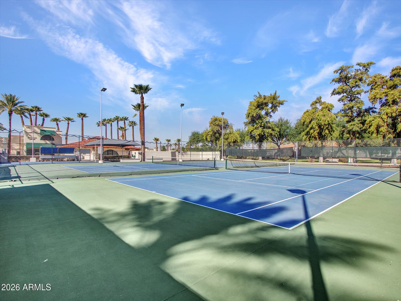 297 S Hacienda Circle, Litchfield Park, AZ 85340 — photo 93 of 113