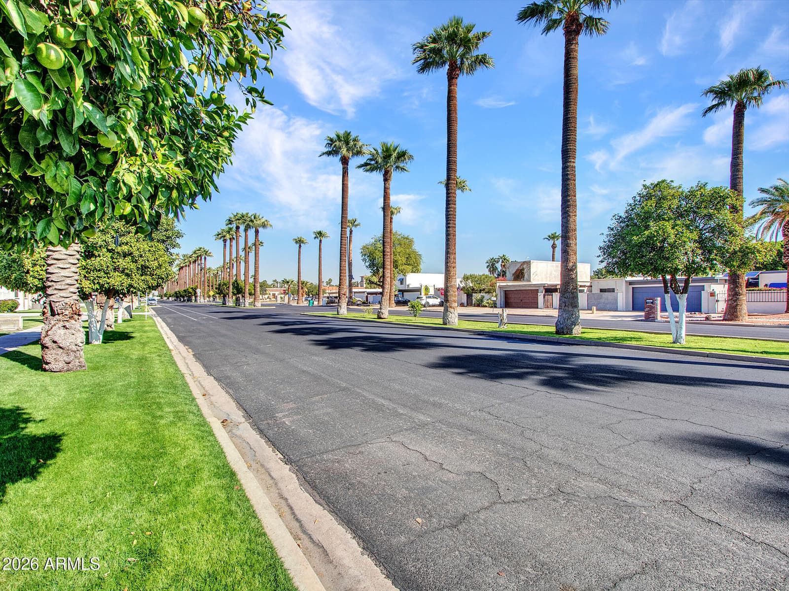 297 S Hacienda Circle, Litchfield Park, AZ 85340 — photo 100 of 113