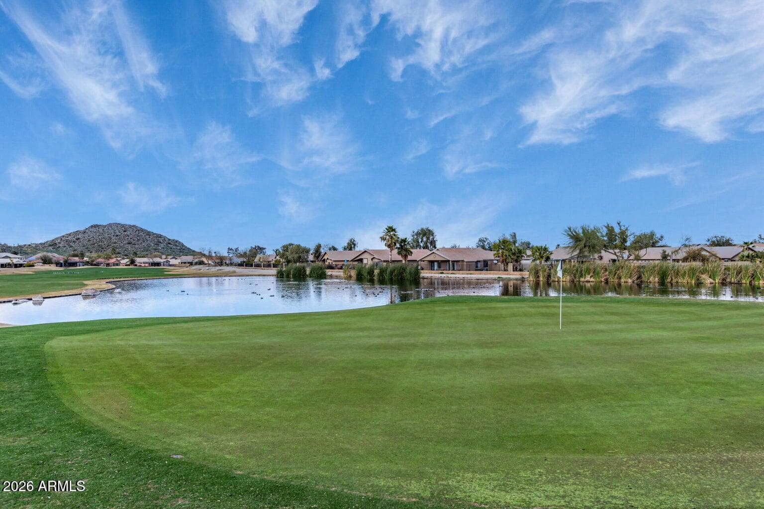 275 E Desert Holly Drive, San Tan Valley, AZ 85143 — photo 74 of 75
