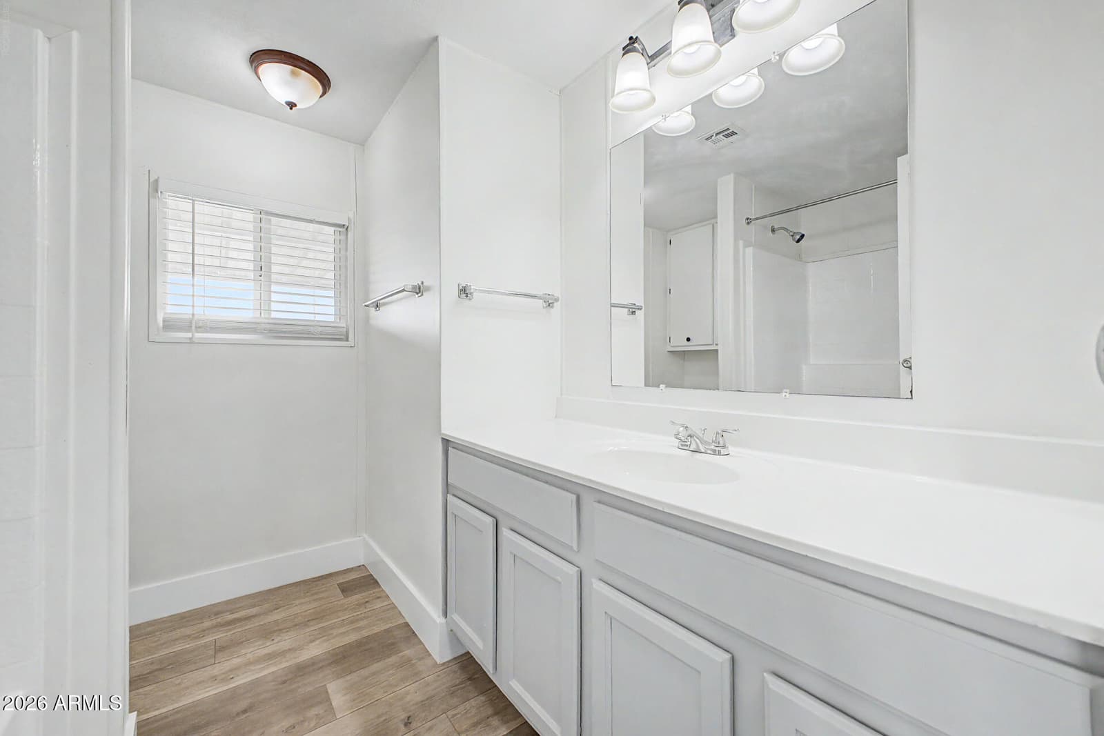 32012 N 169Th Avenue, Surprise, AZ 85387 — photo 5 of 27