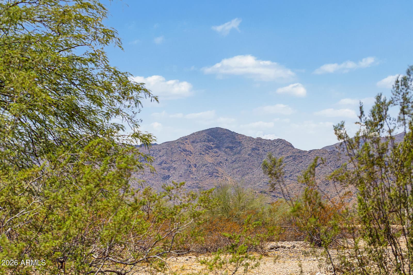 19403 W Townley Court, Waddell, AZ 85355 — photo 50 of 59