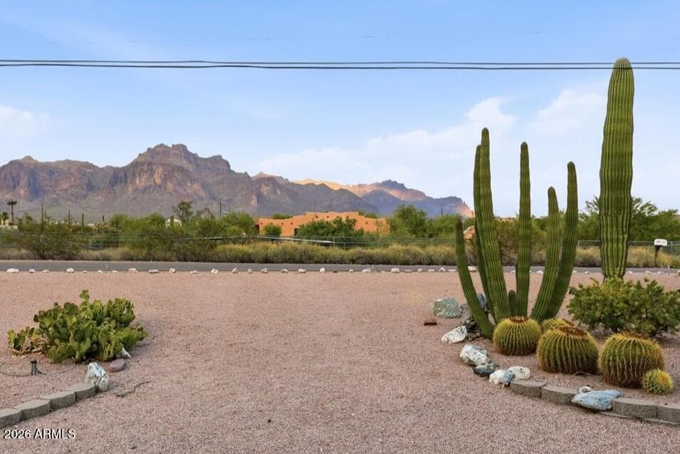 1534 N Acacia Road, Apache Junction, AZ 85119 — photo 61 of 67