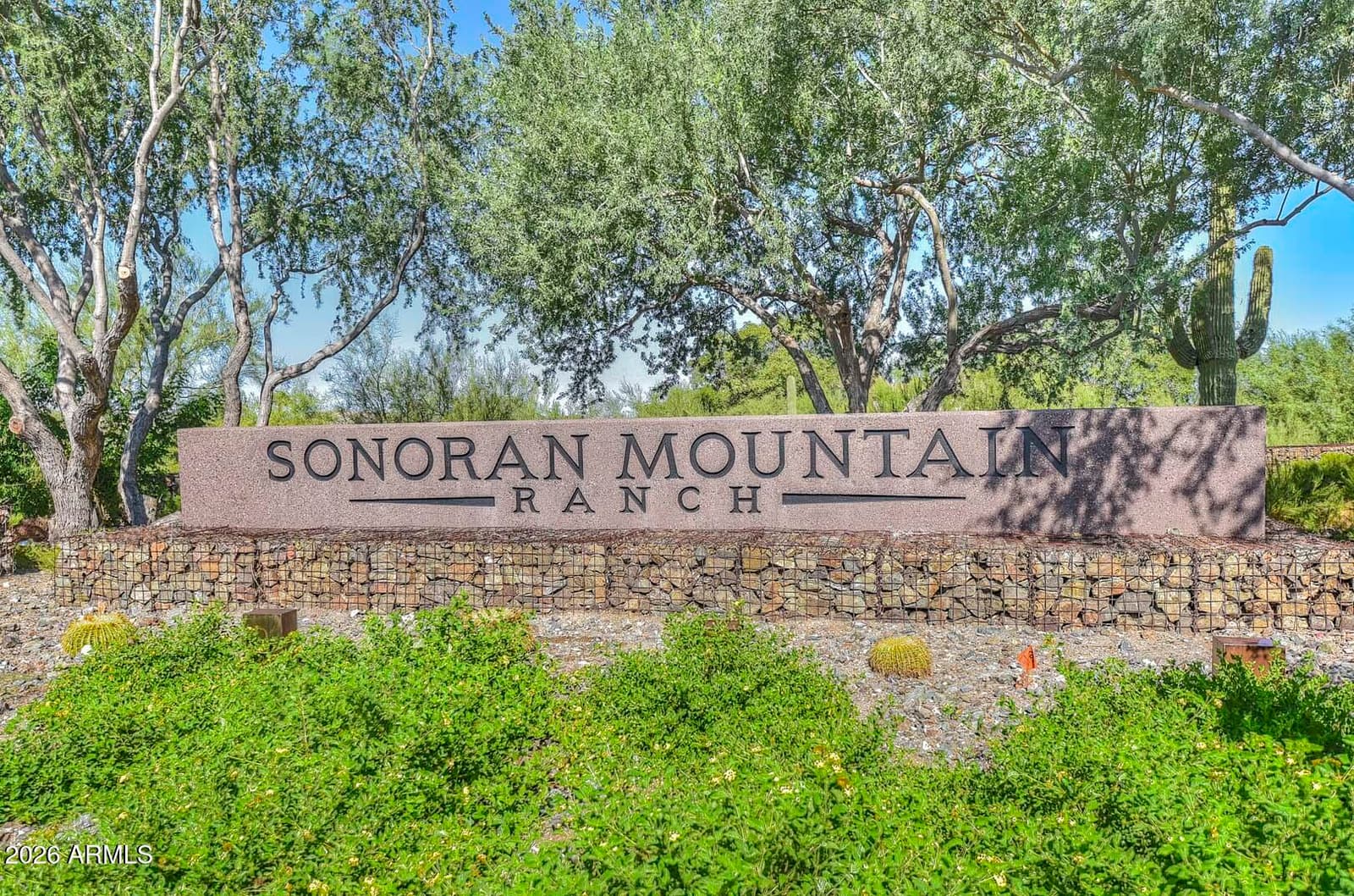 28638 N 68th Drive, Peoria, AZ 85383 — photo 73 of 75
