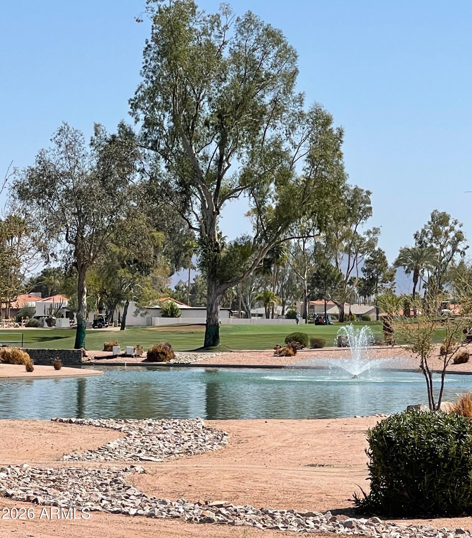 26427 S Flame Tree Drive, Sun Lakes, AZ 85248 — photo 47 of 50
