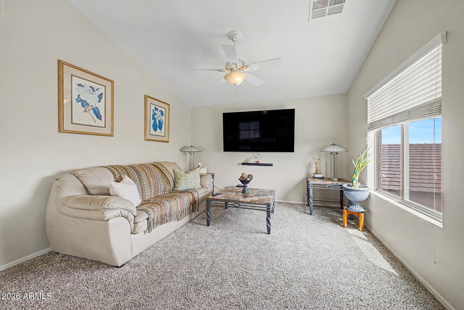 37351 W Amalfi Avenue, Maricopa, AZ 85138 — photo 17 of 28