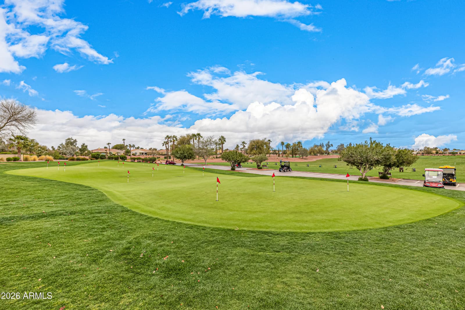 13403 W Cabrillo Drive, Sun City West, AZ 85375 — photo 58 of 60
