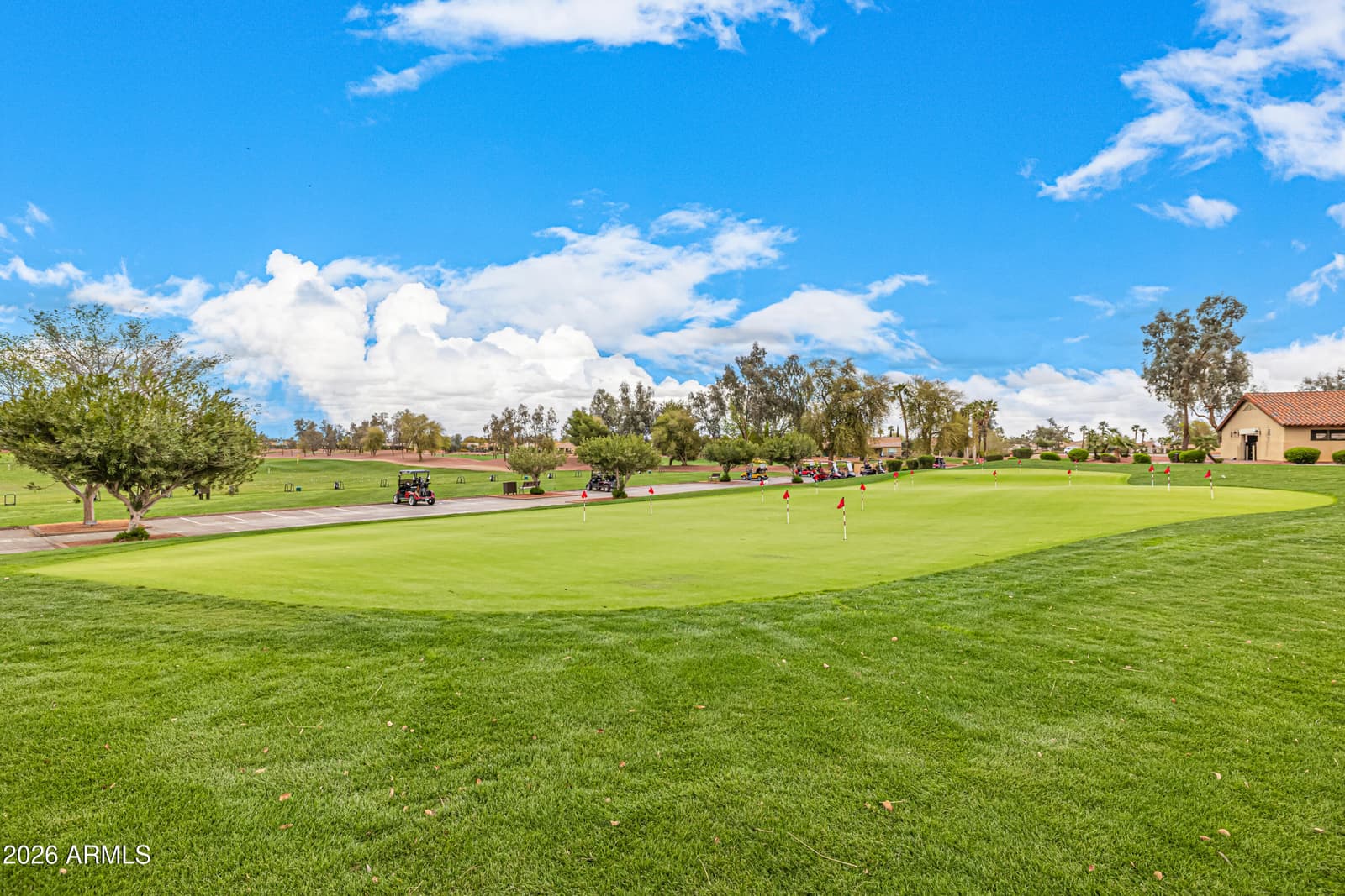13403 W Cabrillo Drive, Sun City West, AZ 85375 — photo 59 of 60