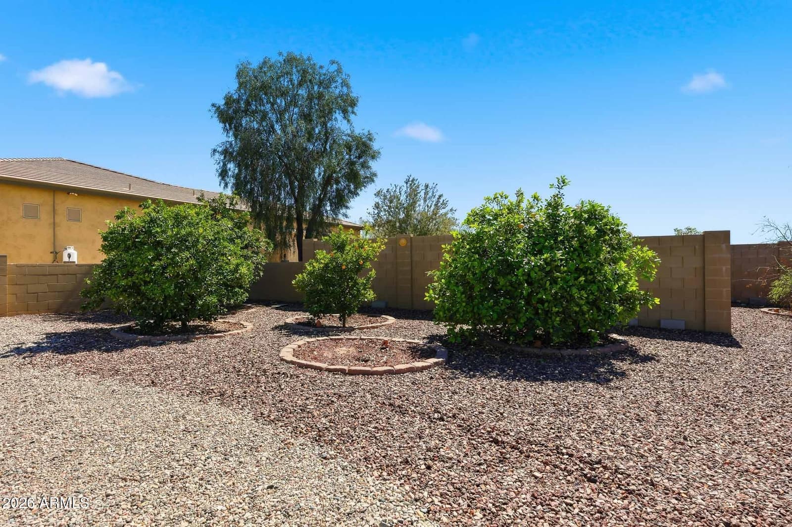 29952 W Taylor Street, Buckeye, AZ 85396 — photo 67 of 70