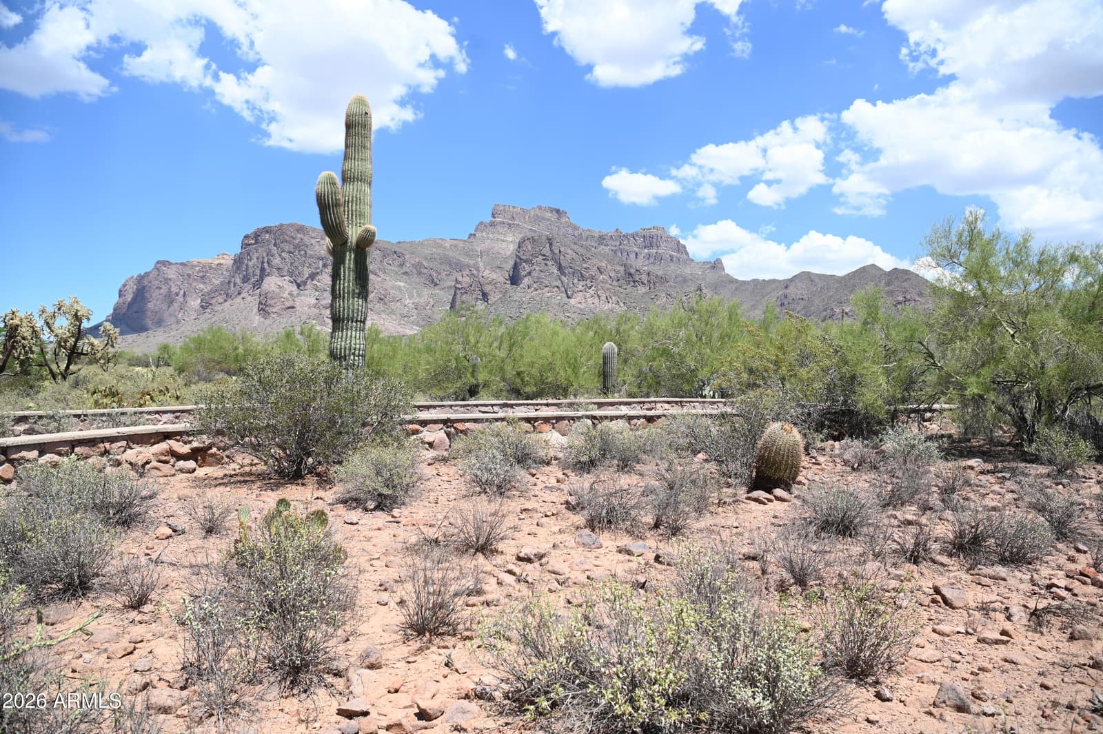 6160 E Roosevelt Street, Apache Junction, AZ 85119 — photo 3 of 50