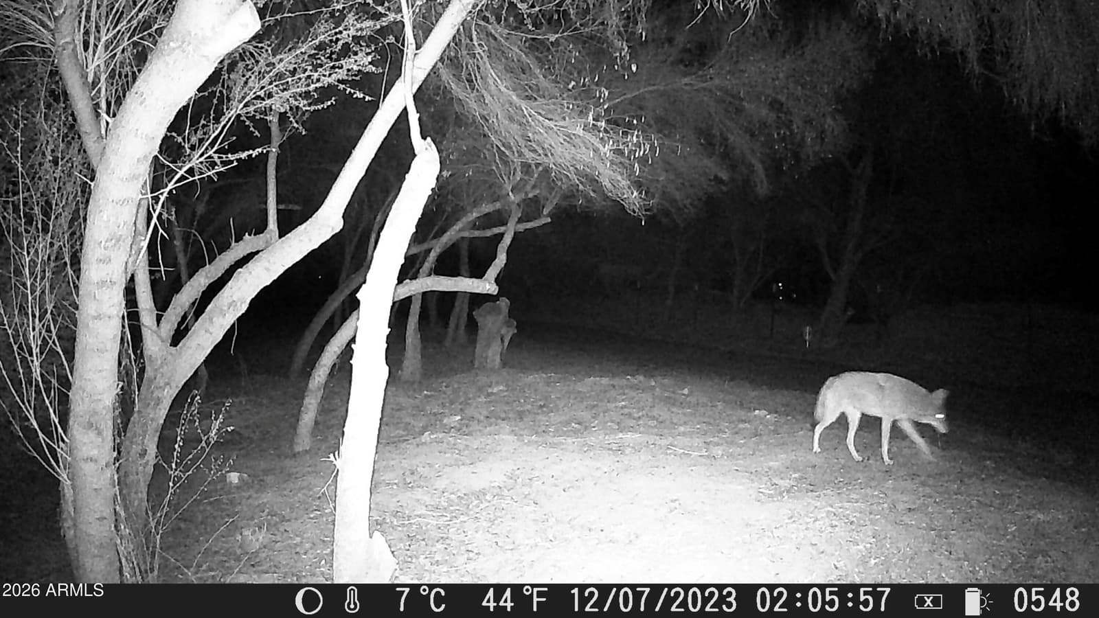 11241 S 217th Avenue, Buckeye, AZ 85326 — photo 59 of 64