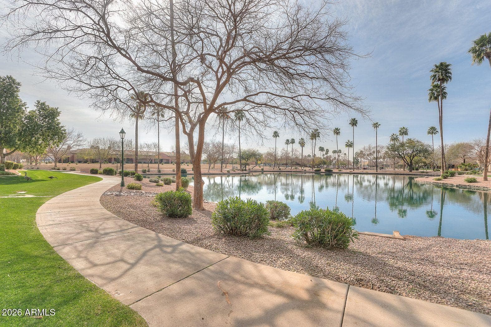 9228 E Champagne Drive, Sun Lakes, AZ 85248 — photo 30 of 37