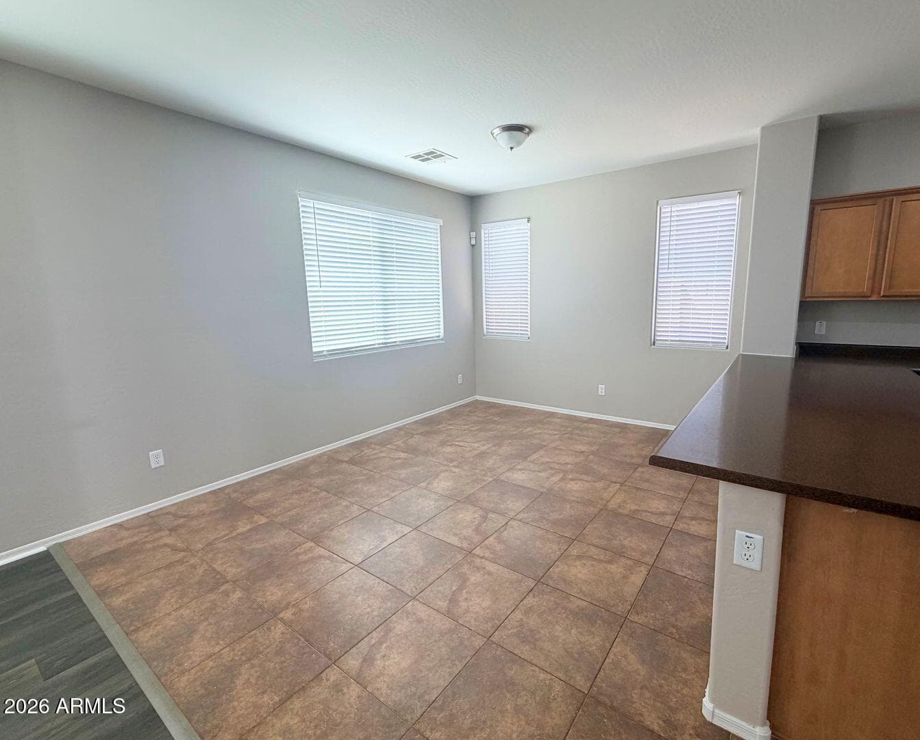 19294 N Del Mar Avenue, Maricopa, AZ 85138 — photo 8 of 24