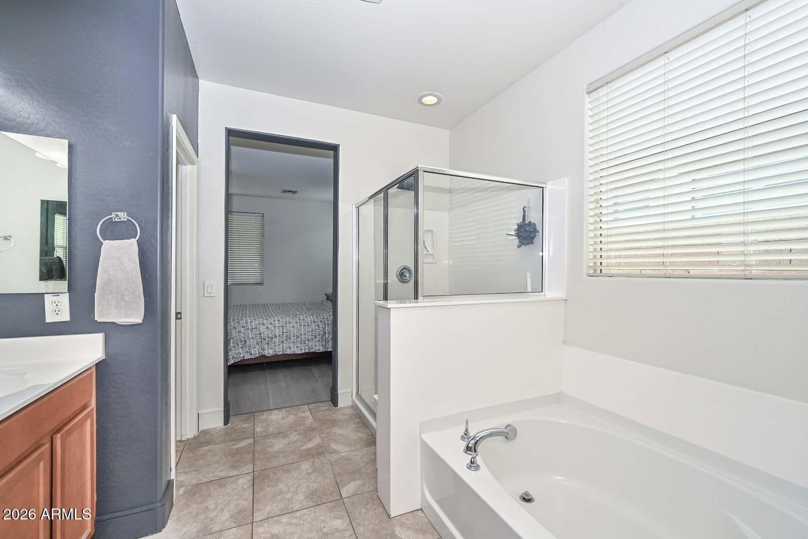 10218 W Levi Drive, Tolleson, AZ 85353 — photo 26 of 30