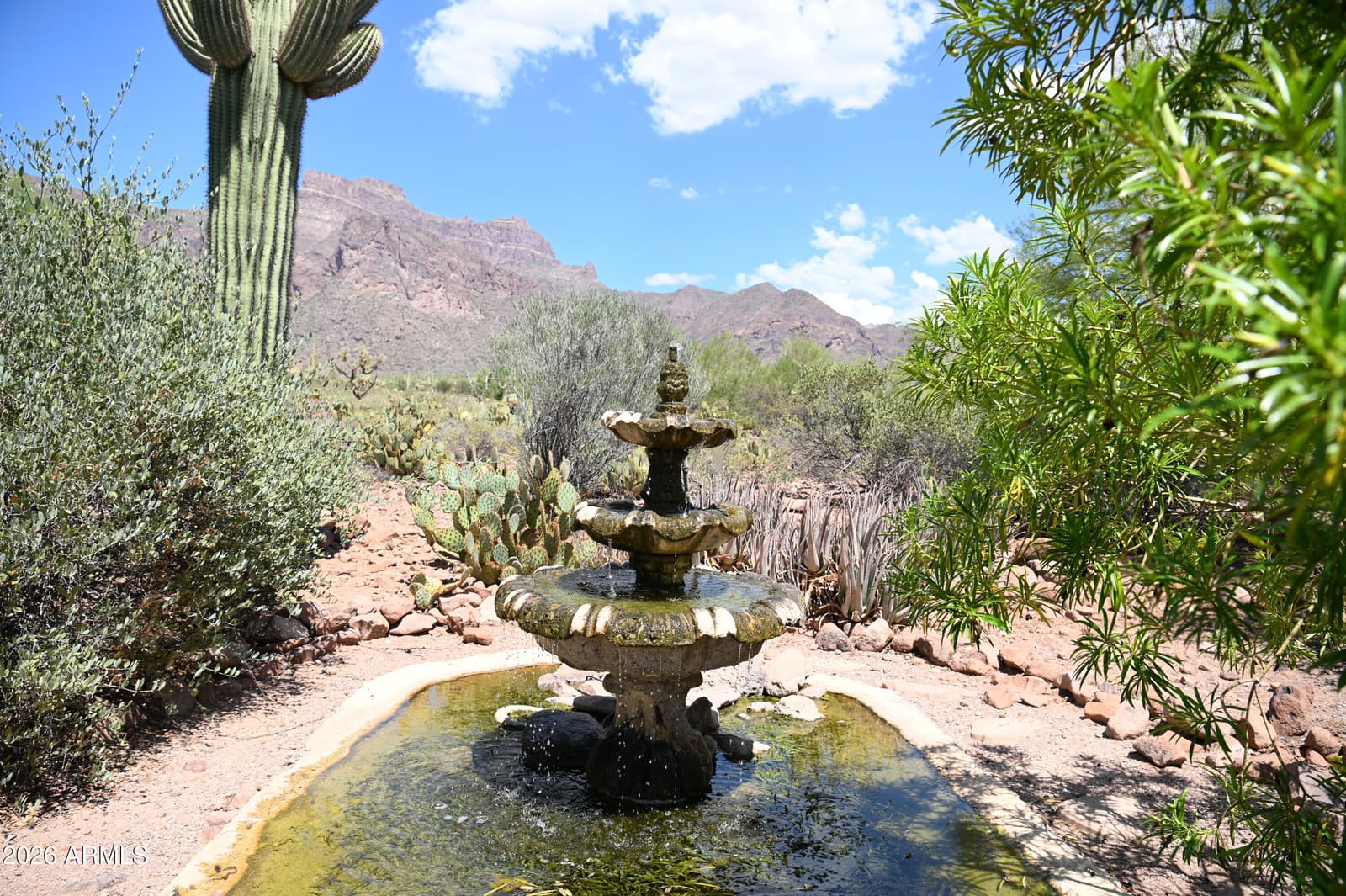 6160 E Roosevelt Street, Apache Junction, AZ 85119 — photo 14 of 50