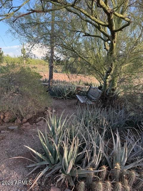 6160 E Roosevelt Street, Apache Junction, AZ 85119 — photo 46 of 50