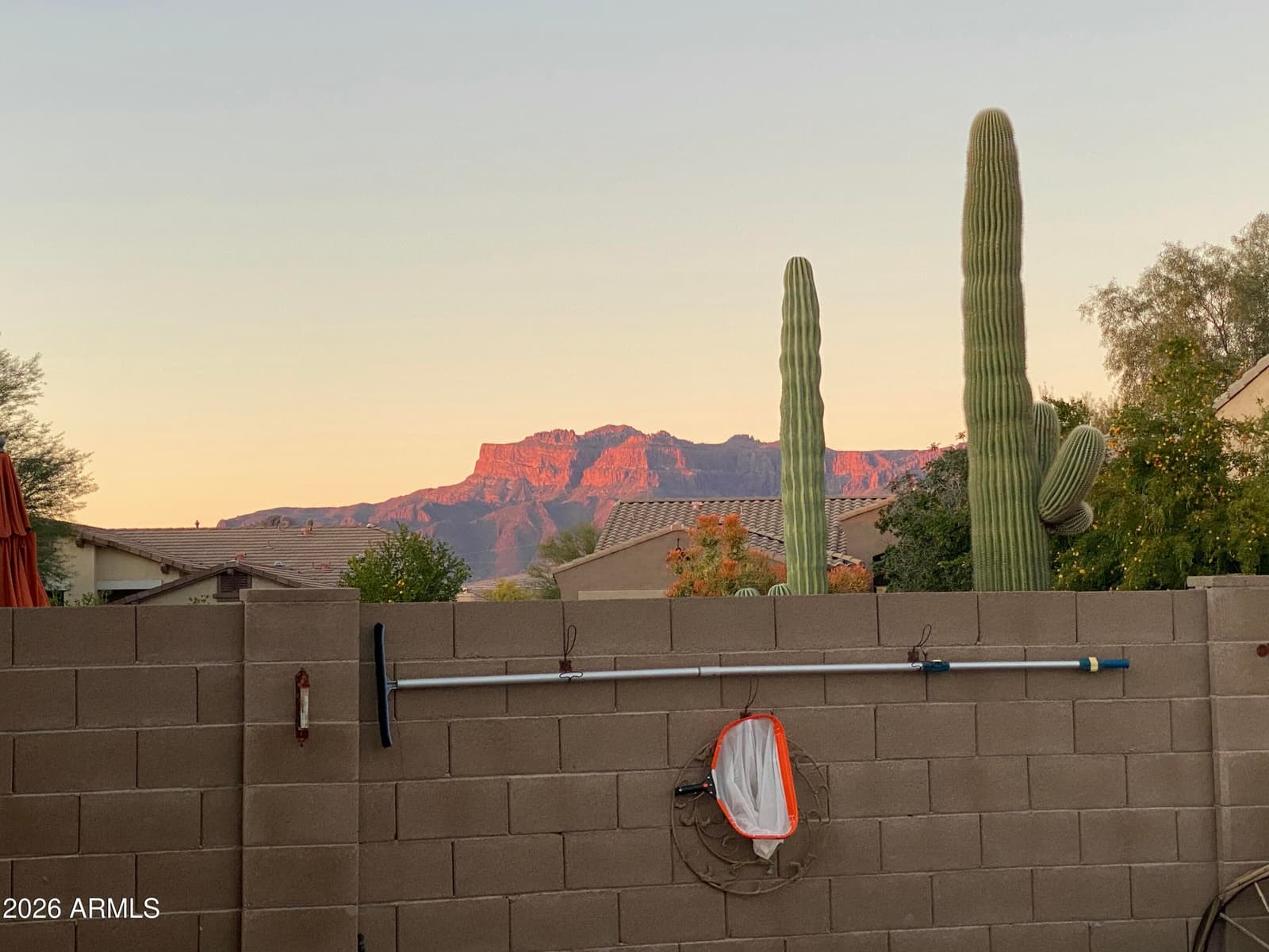 8177 S Bull Dog Court, Gold Canyon, AZ 85118 — photo 3 of 54