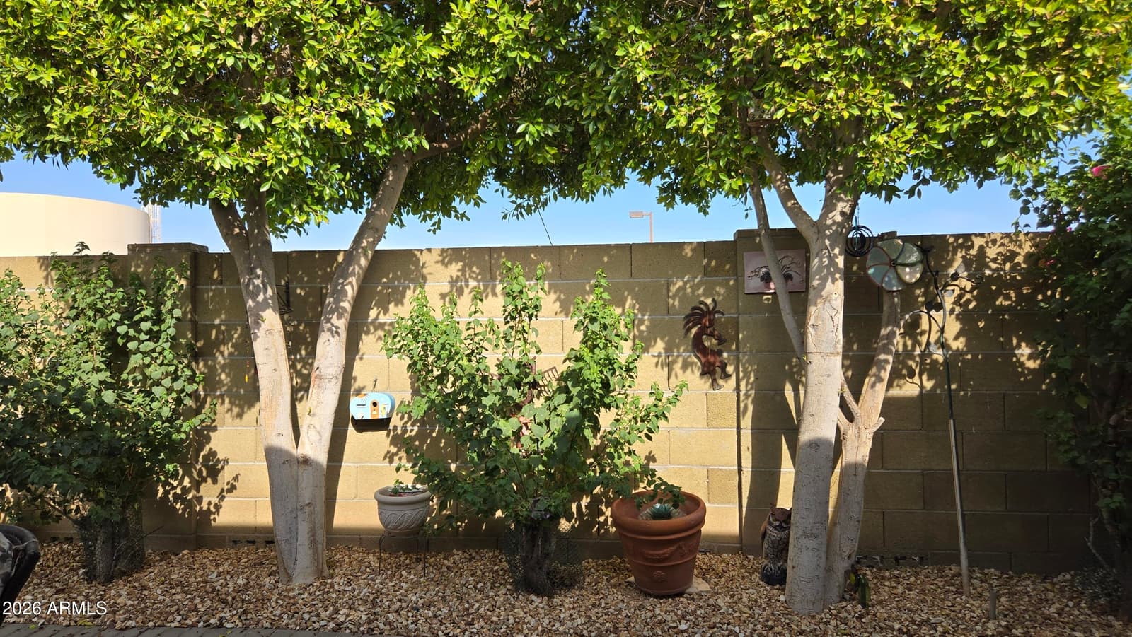 17200 W Bell Road 2319, Surprise, AZ 85374 — photo 25 of 37