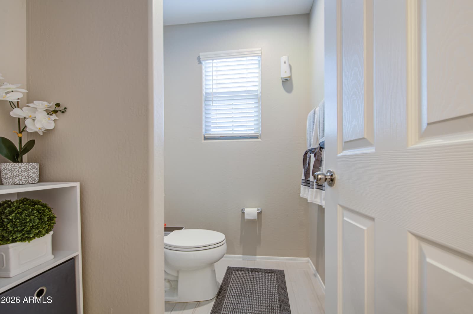 10810 W King Street, Avondale, AZ 85323 — photo 28 of 44