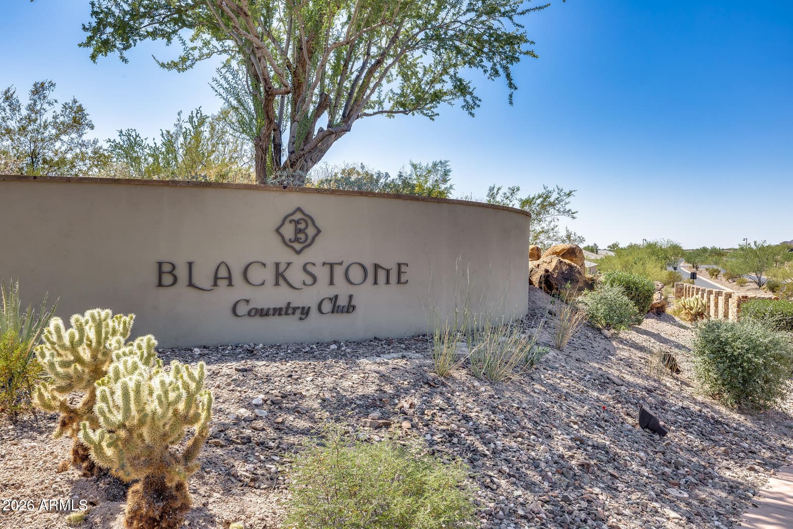 30927 N 117th Drive, Peoria, AZ 85383 — photo 150 of 157