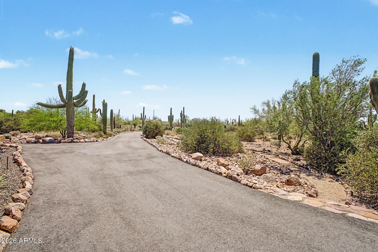 10196 E Open Sky Drive, Gold Canyon, AZ 85118 — photo 53 of 85