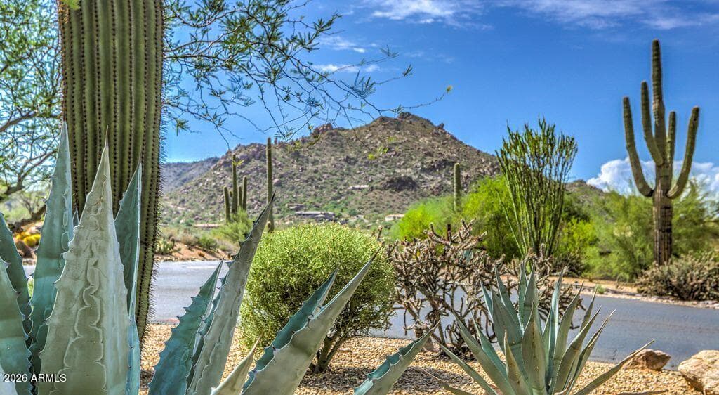 2044 E Smoketree Drive, Carefree, AZ 85377 — photo 36 of 42