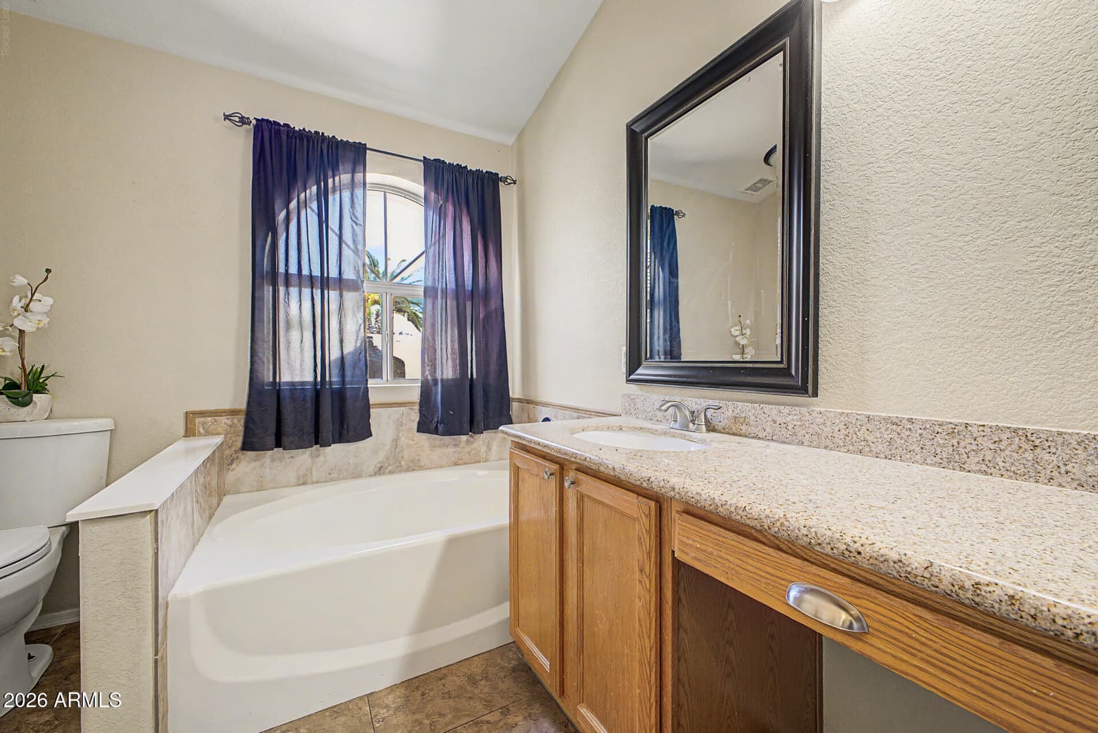 6310 E Portia Street, Mesa, AZ 85215 — photo 10 of 19