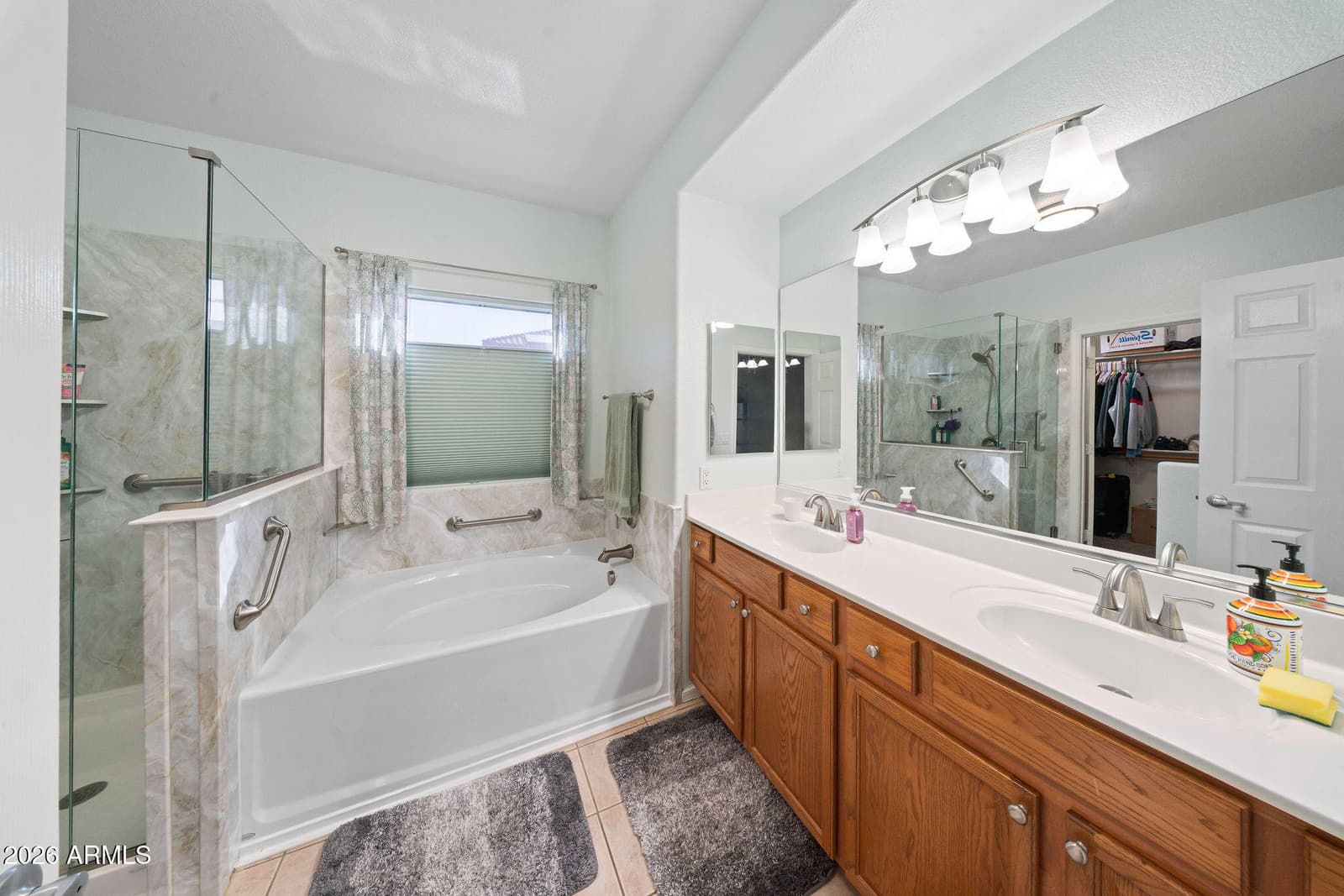 15317 N 159th Drive, Surprise, AZ 85379 — photo 15 of 47