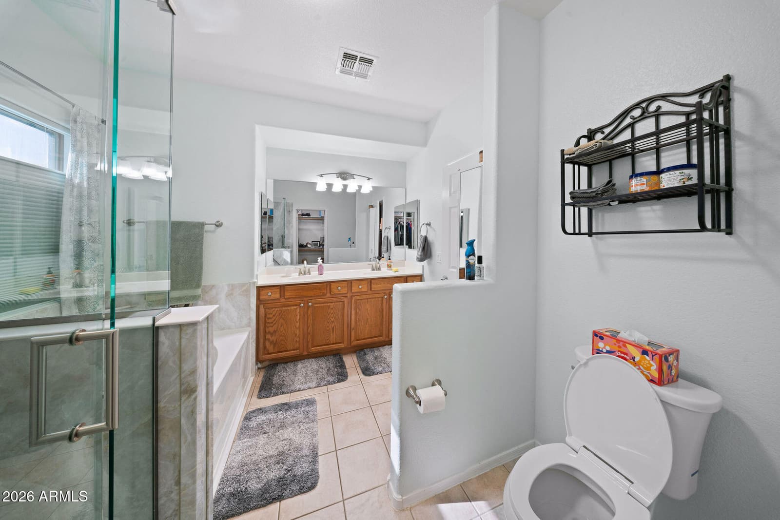 15317 N 159th Drive, Surprise, AZ 85379 — photo 17 of 47