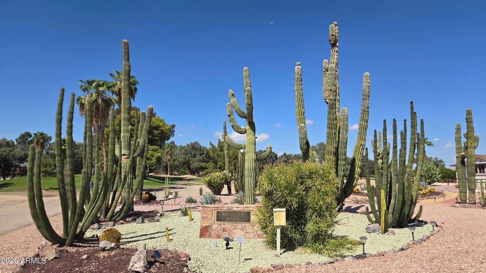 17200 W Bell Road 299, Surprise, AZ 85374 — photo 18 of 26
