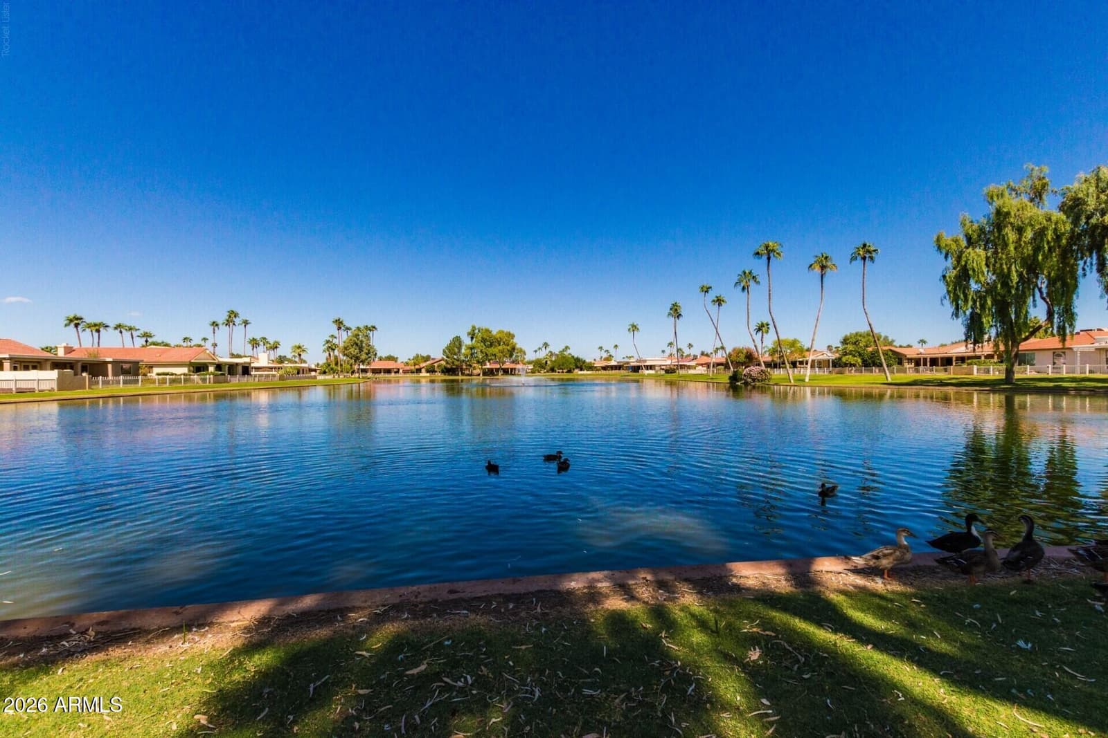 25449 S Truro Drive, Sun Lakes, AZ 85248 — photo 37 of 37