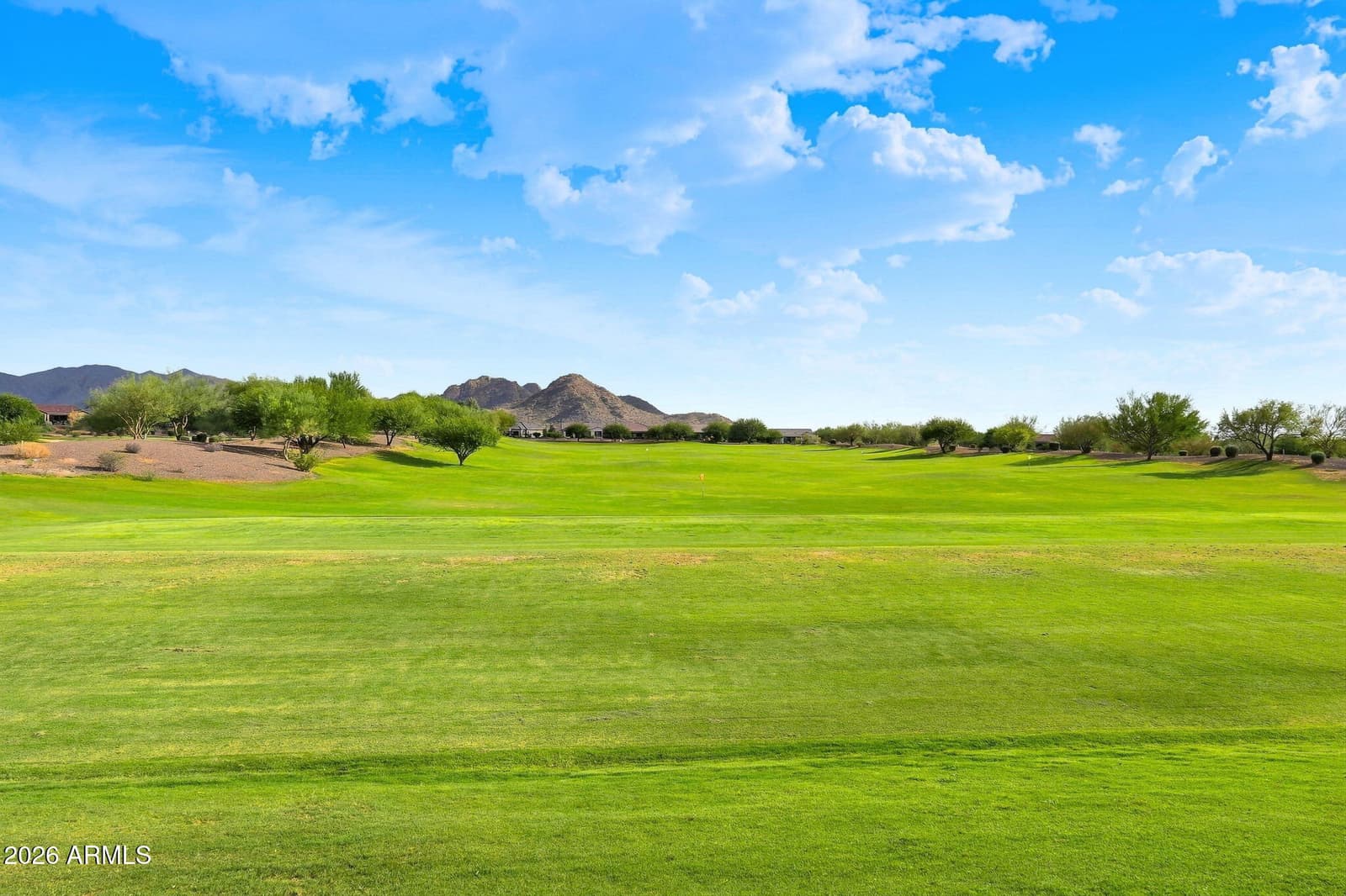 21286 N 271st Drive, Buckeye, AZ 85396 — photo 59 of 111
