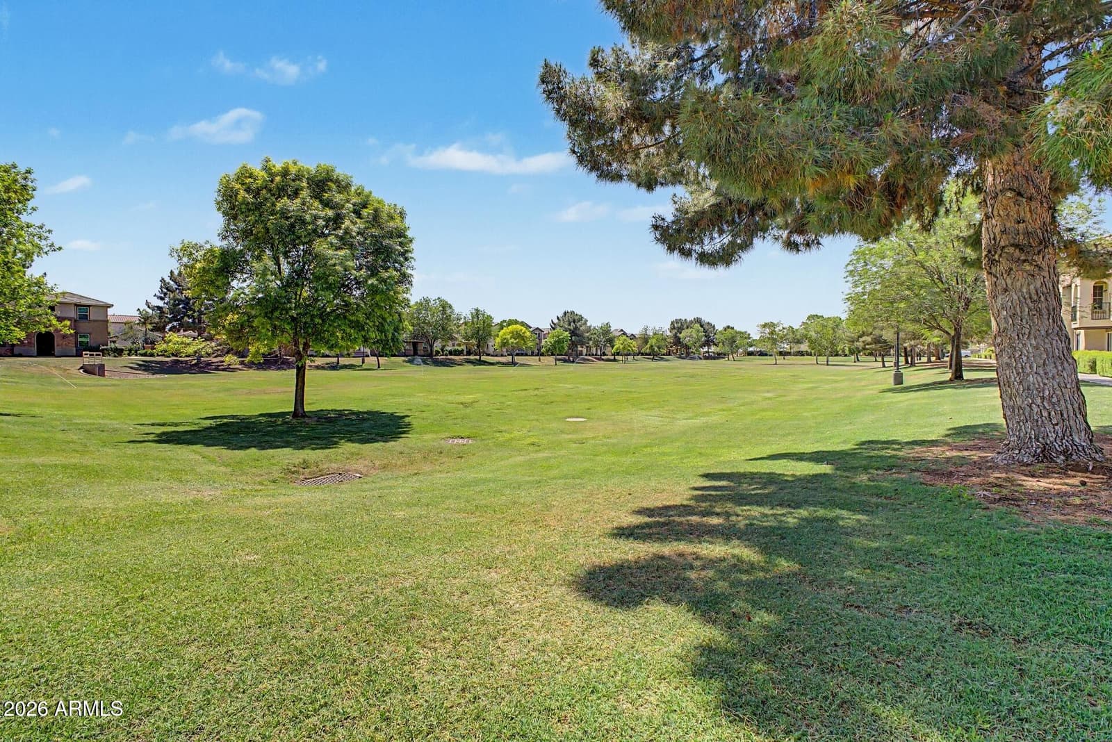 905 S Osborn Lane, Gilbert, AZ 85296 — photo 45 of 50