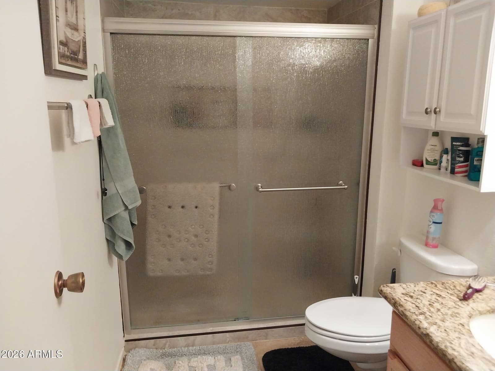 10113 W Campana Drive, Sun City, AZ 85351 — photo 11 of 11