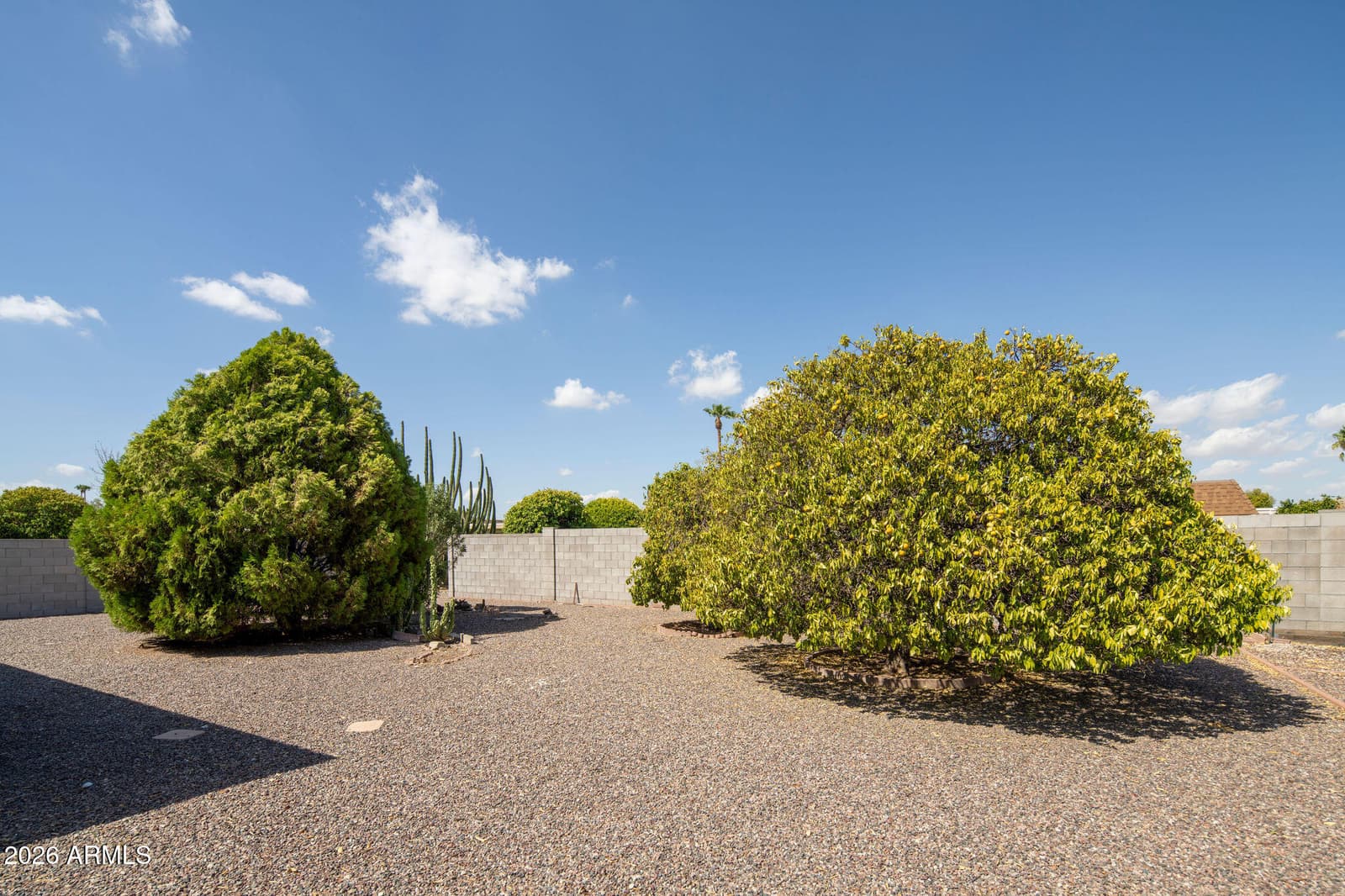 9213 W Briarwood Circle N, Sun City, AZ 85351 — photo 22 of 35