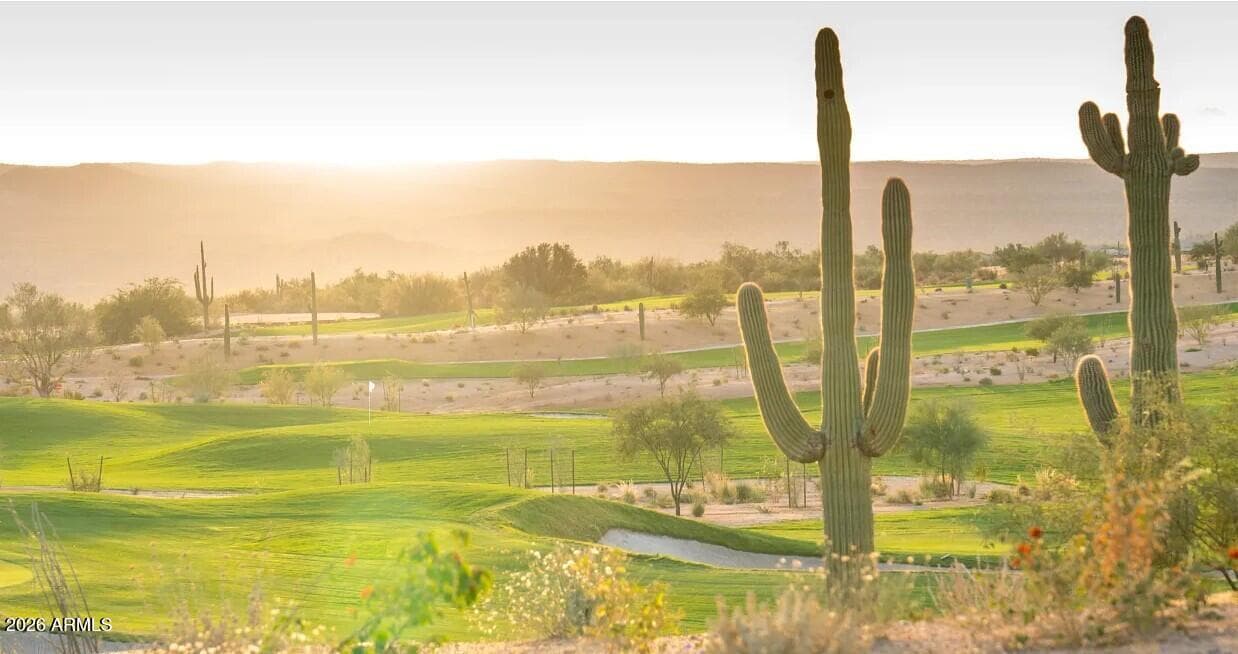 31537 N 126th Lane, Peoria, AZ 85383 — photo 139 of 175