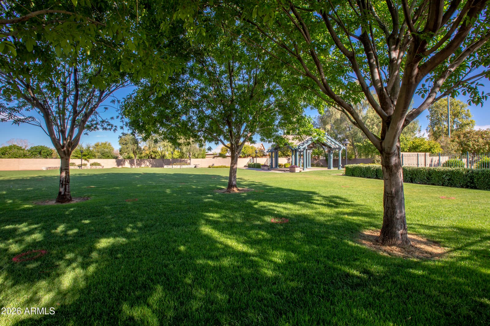 14602 W Aster Drive, Surprise, AZ 85379 — photo 78 of 124