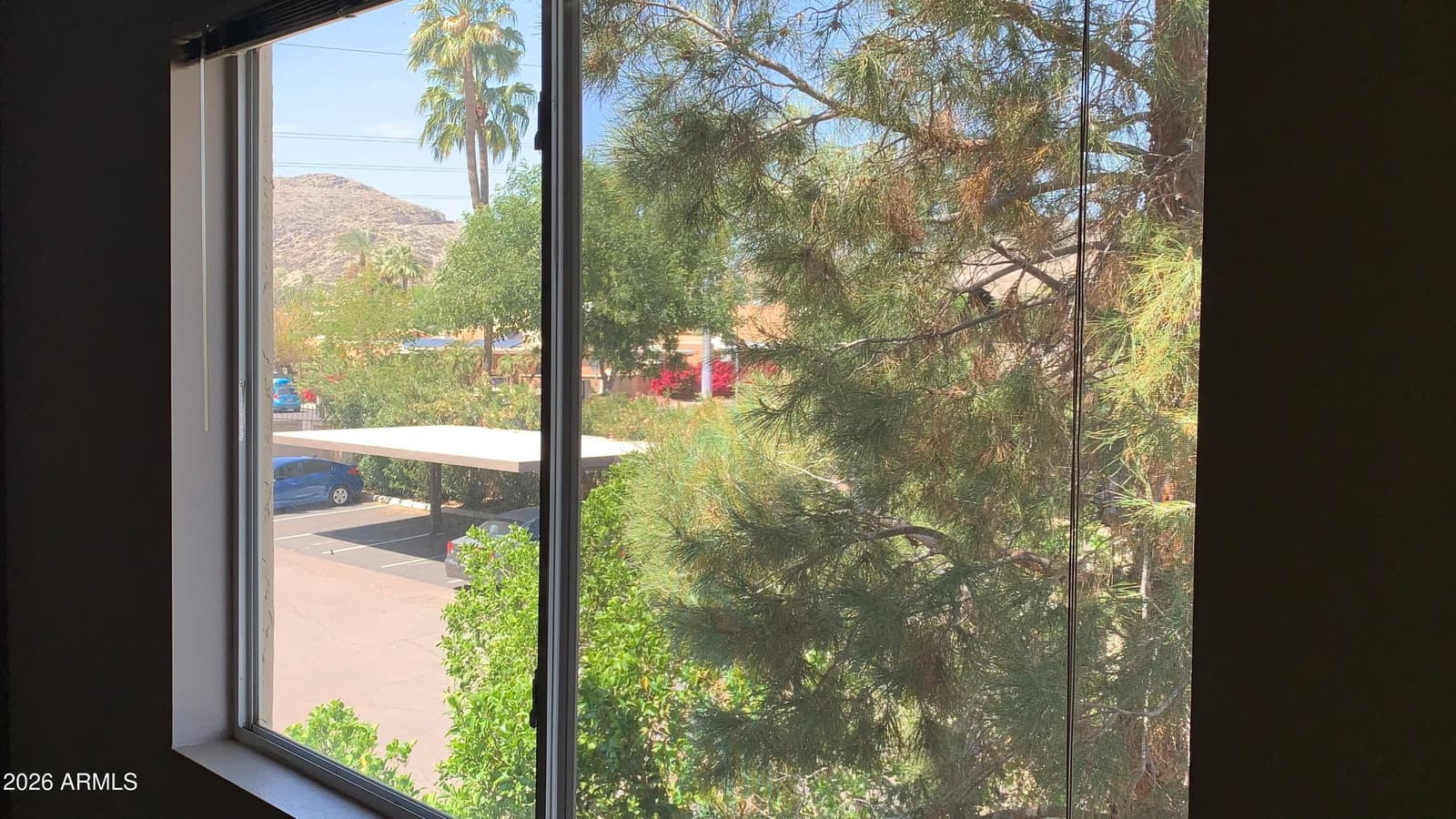 10410 N Cave Creek Road 2100, Phoenix, AZ 85020 — photo 4 of 41