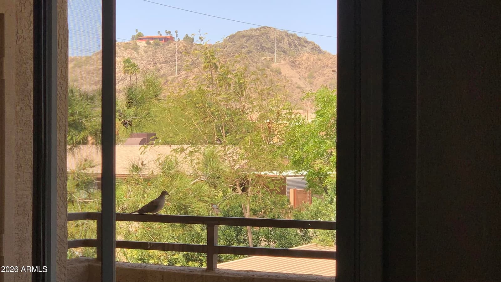 10410 N Cave Creek Road 2100, Phoenix, AZ 85020 — photo 19 of 41