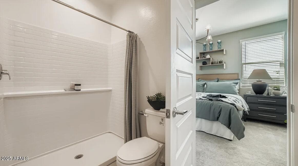 30211 W Wild Hazel Drive, Buckeye, AZ 85396 — photo 12 of 18
