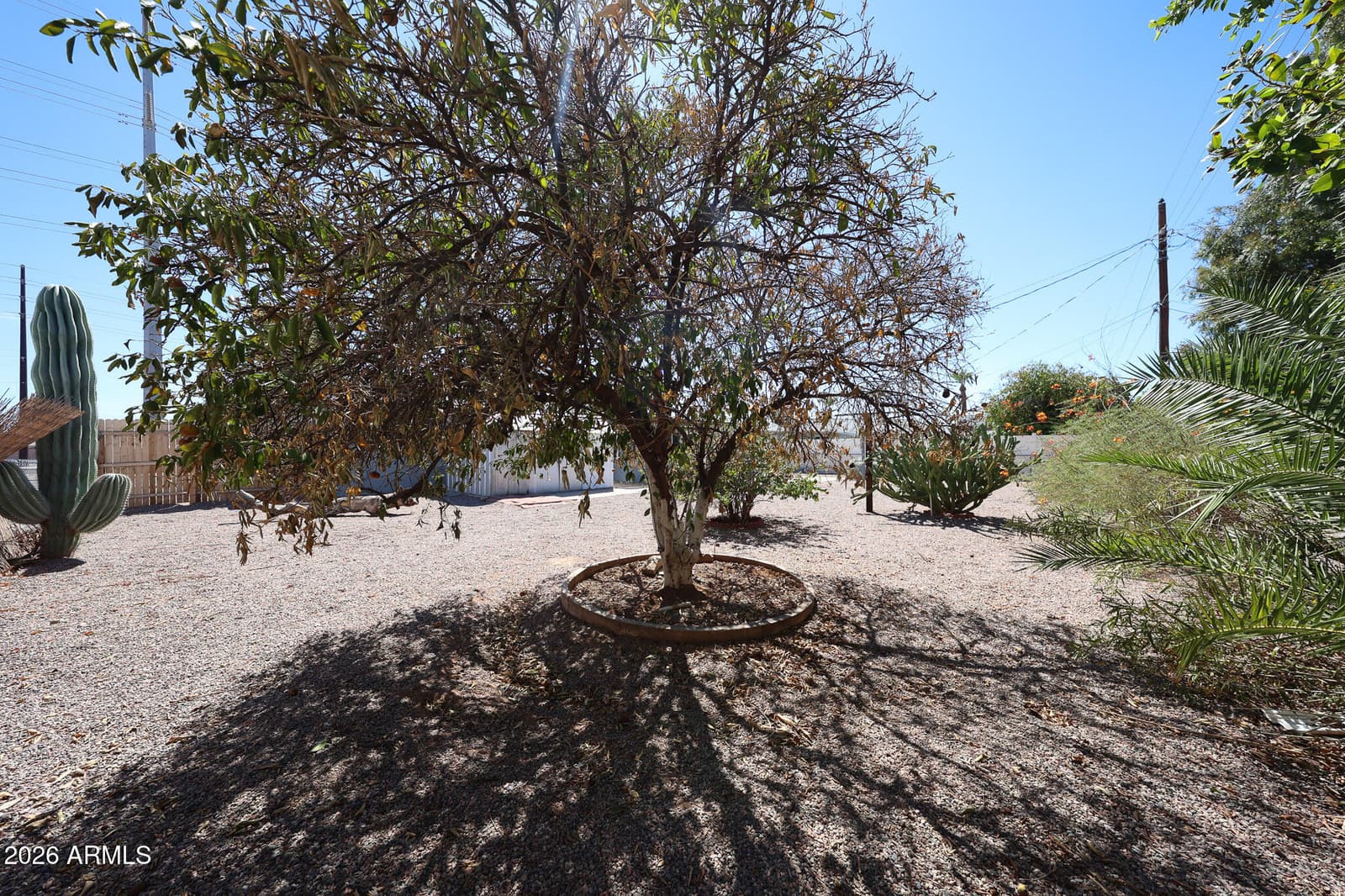5410 E University Drive, Mesa, AZ 85205 — photo 43 of 46