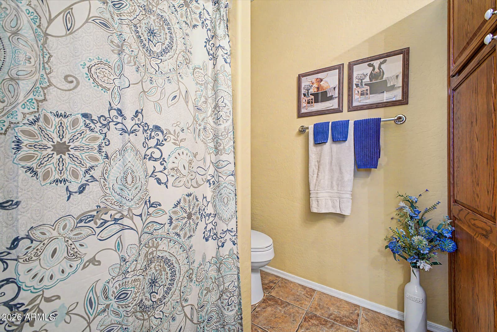 4367 N 152nd Drive, Goodyear, AZ 85395 — photo 31 of 45