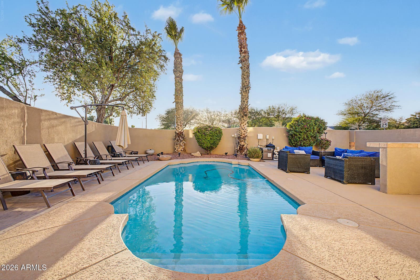 224 N Stanley Place, Chandler, AZ 85226 — photo 48 of 48