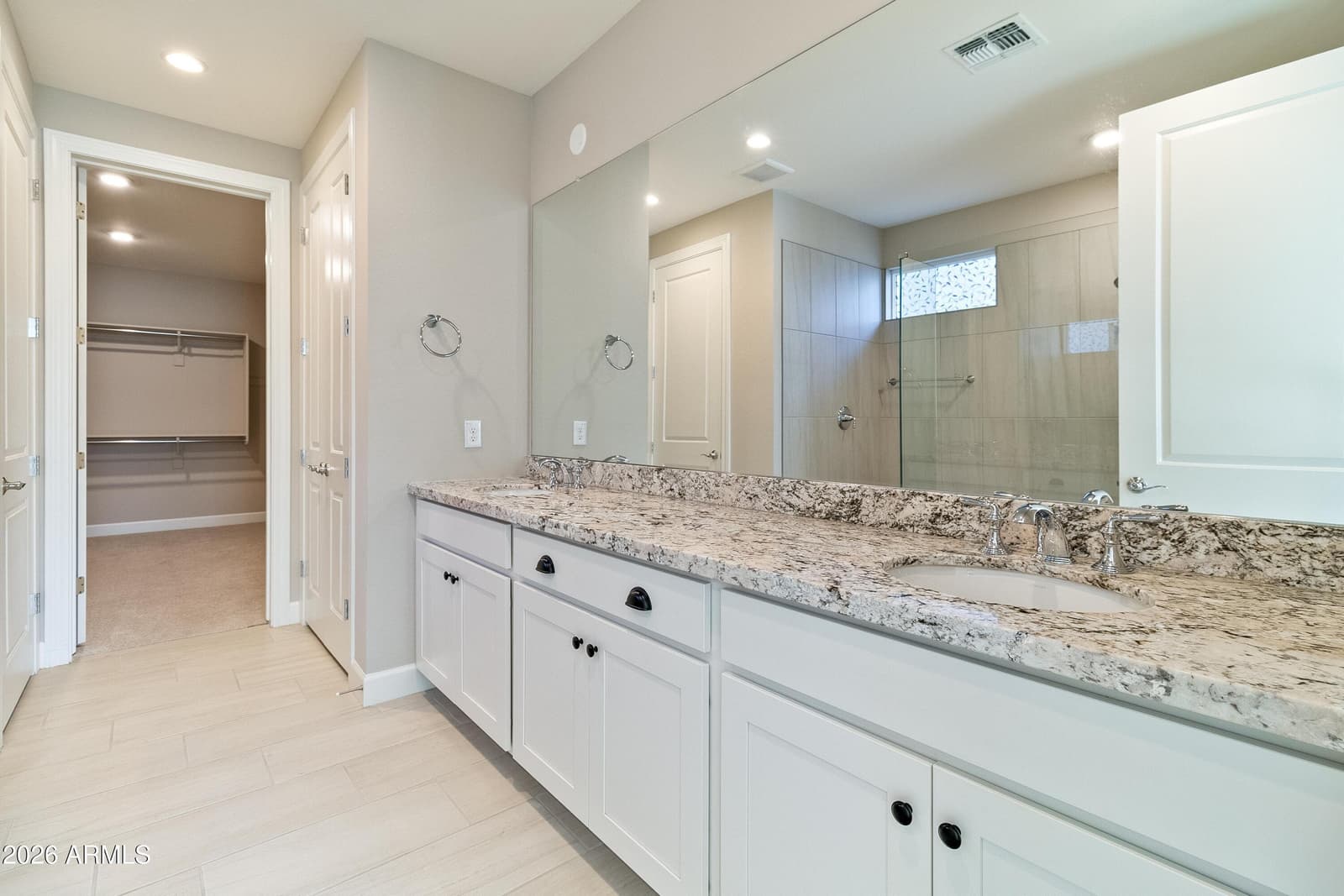 17171 W Thousand Oaks Street, Surprise, AZ 85388 — photo 17 of 59