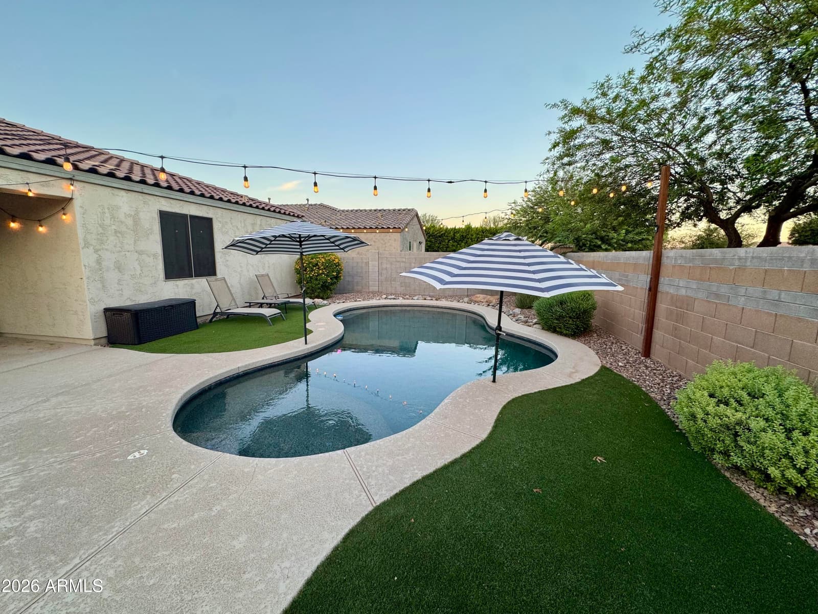 4365 W Pelotazo Way, San Tan Valley, AZ 85144 — photo 2 of 42