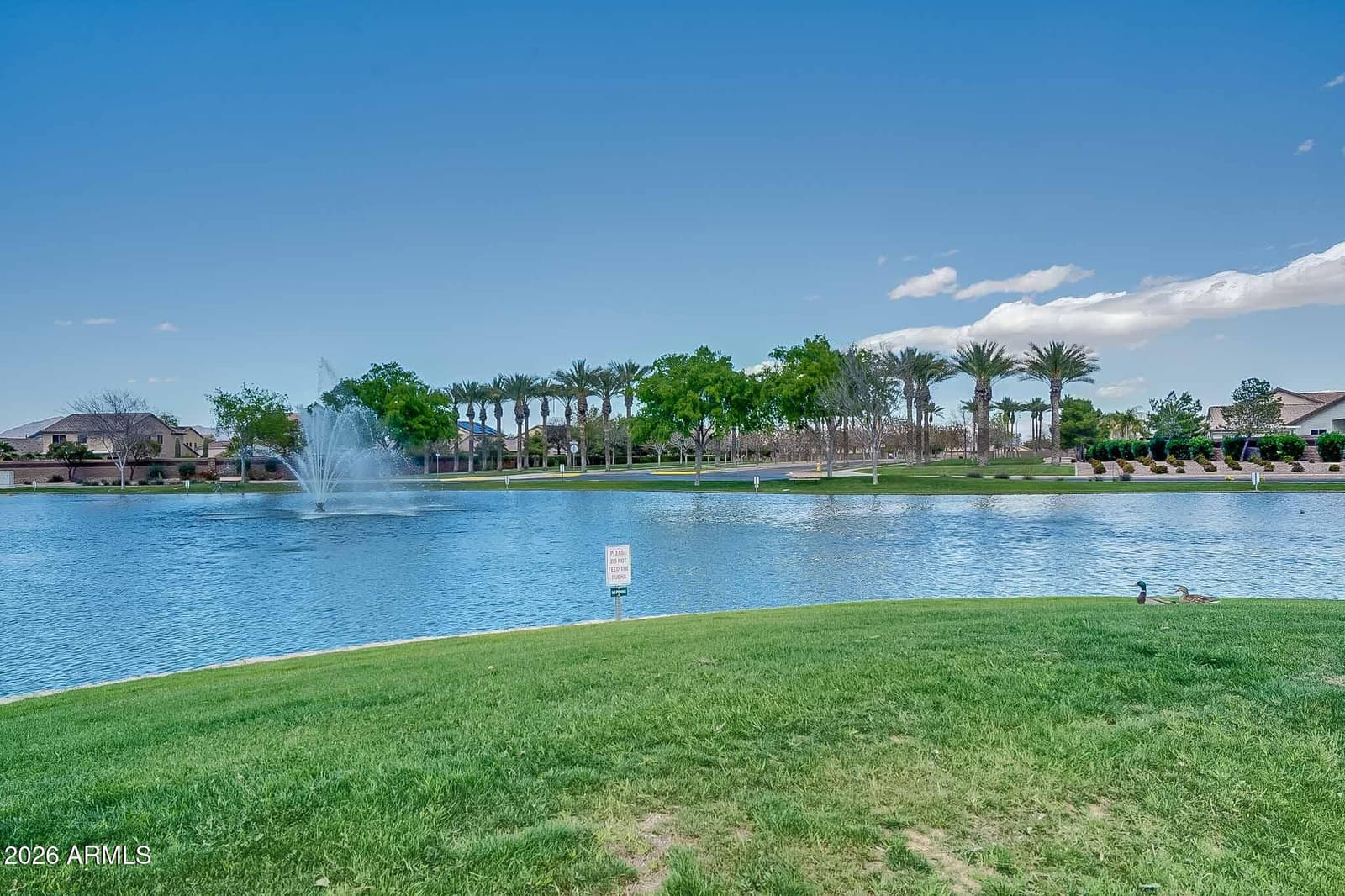 43393 W Courtney Drive, Maricopa, AZ 85138 — photo 40 of 42