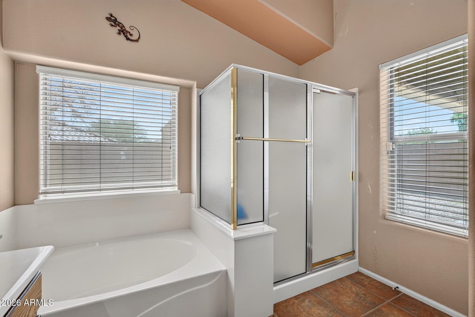 687 E Palomino Way, San Tan Valley, AZ 85143 — photo 28 of 49