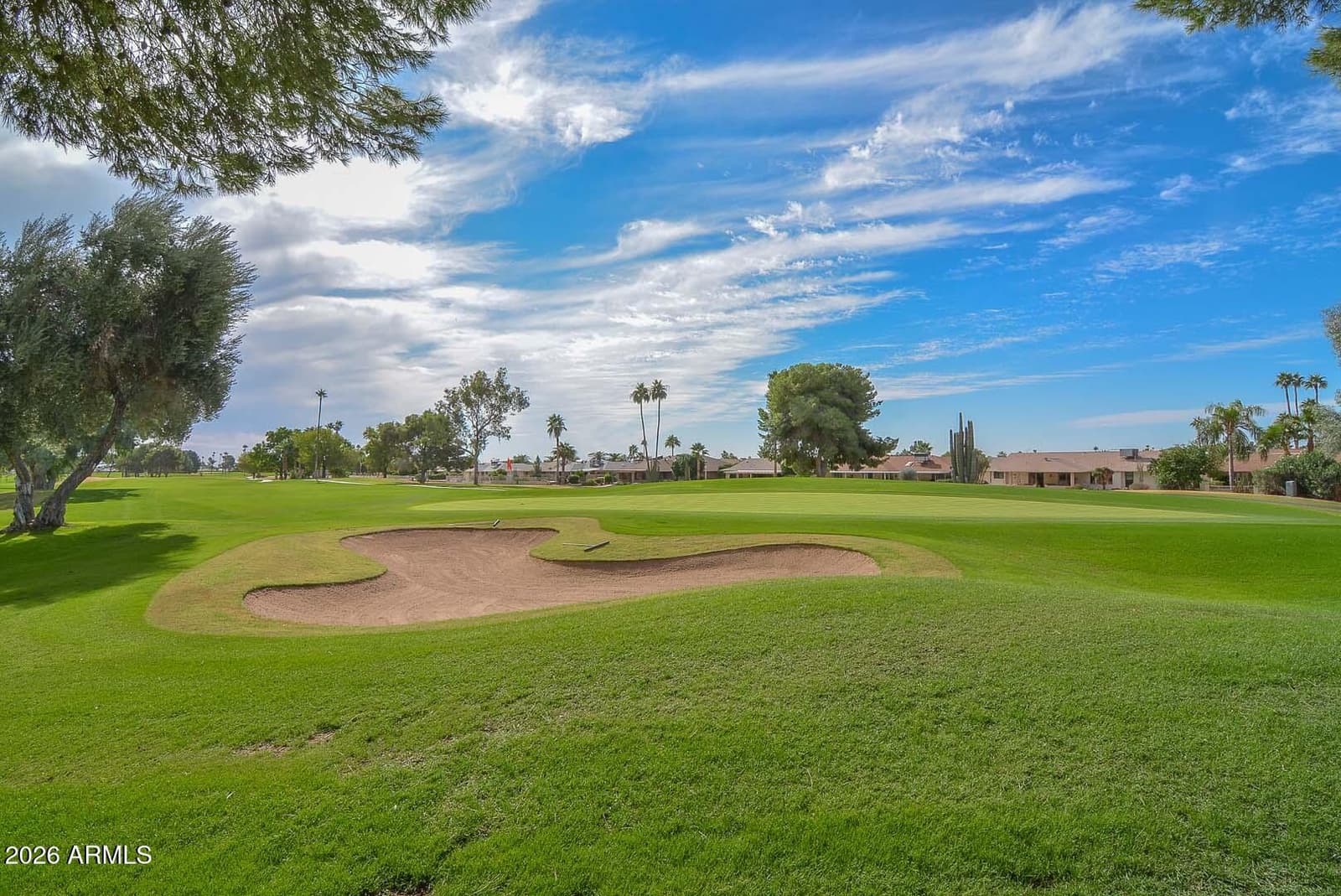 20444 N Meadowood Drive, Sun City West, AZ 85375 — photo 60 of 63